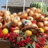 29 апреля в Григориополе состоится широкая сельскохозяйственная ярмарка