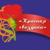 18 февраля  стартует районный конкурс патриотической песни «Красная гвоздика»