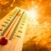 О правилах безопасности при высоких температурах (жаре)