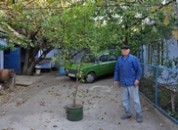 Житель Григориополя подарил своему городу лимонное дерево