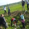 В Григориопольском районе проведена акция «Чистый берег 2019»