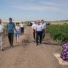 Объекты АПК Григориопольского района в центре внимания Главы государства