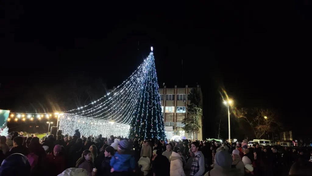 Главная праздничная елка - 5