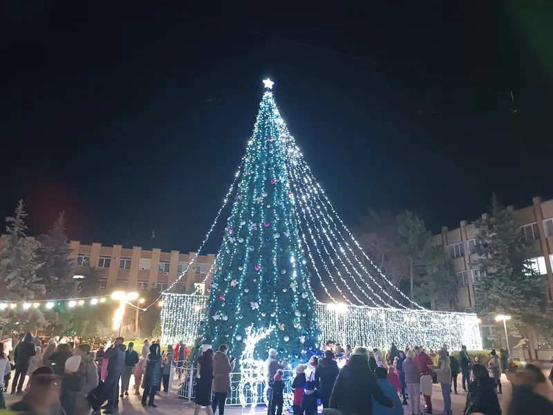 Главная праздничная елка - 6