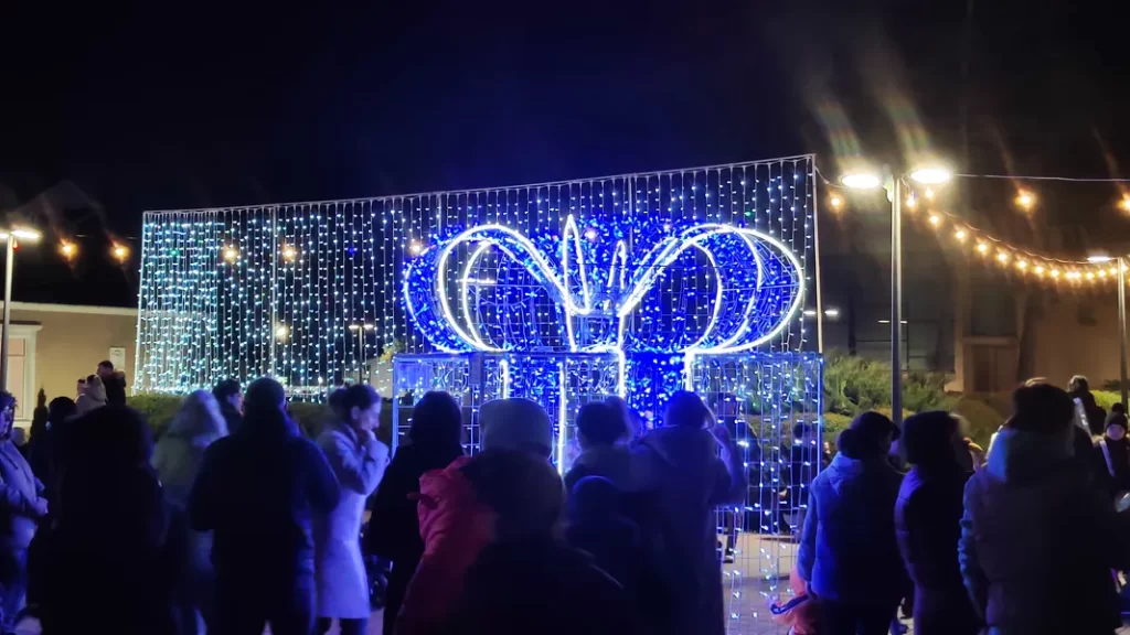 Главная праздничная елка - 7